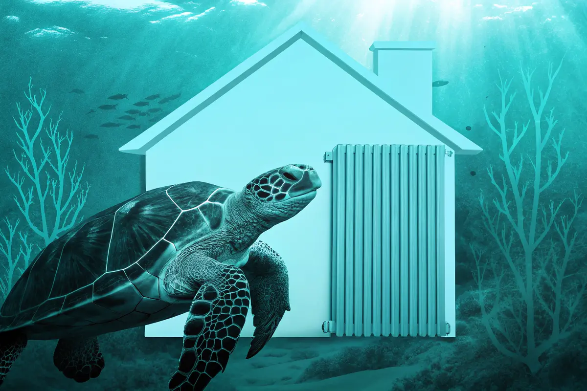 Radiateur électrique connecté Galapagos&nbsp;: fonctionnalités, économies et installation