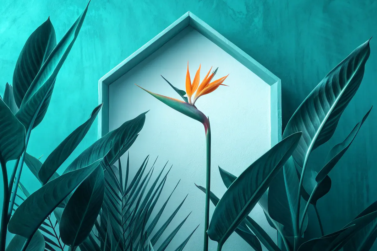 Oiseau du paradis : réussir sa culture et sa floraison