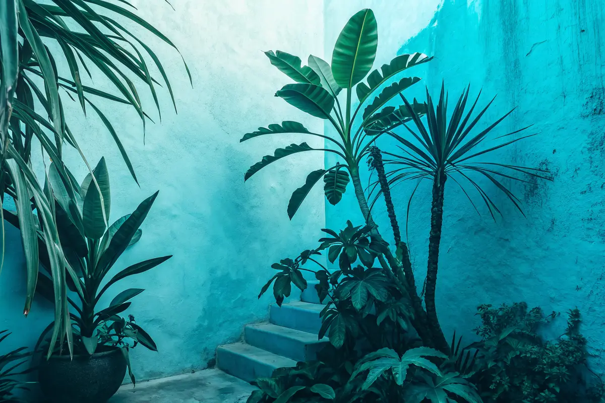 Plante exotique : lesquelles choisir et comment les réussir en climat français